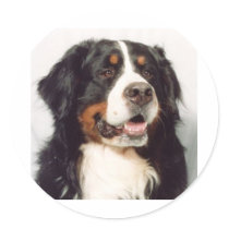 Dog Round Sticker