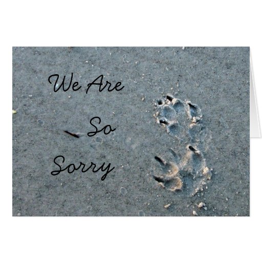 Dog Sympathy Greeting Cards