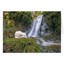 Dog Tired Icicle Waterfall cards