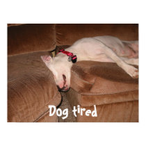Dog tired poster posters