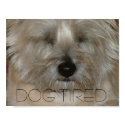 Dog tired posters