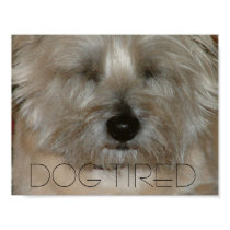 Dog tired posters