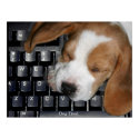 Dog Tired posters