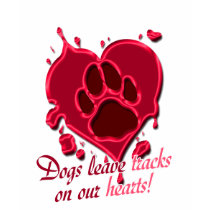 Dog Tracks T-Shirt by ttfisher Dog Tracks T-Shirt
