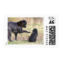 Dog Training-Customizable postage