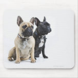 Dog training & obedience mousepads