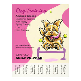 Dog Training Trainer Active Terrier Ad Tear Sheet Personalized Flyer