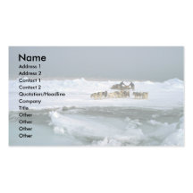 Dog travel on ice, Ellesmere Island, Northwest Ter Business Card Templates