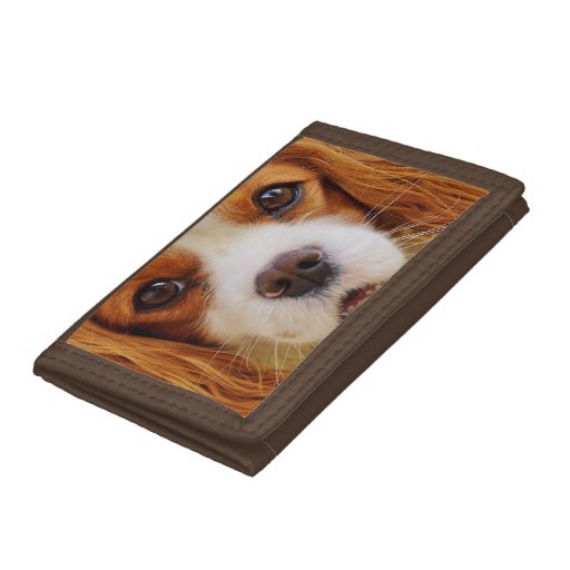 dog trifold wallet Zazzle