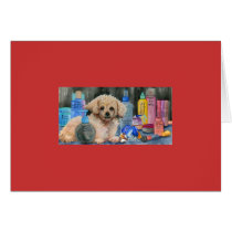 Dog Valentine card cards