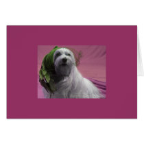 Dog Valentine card cards