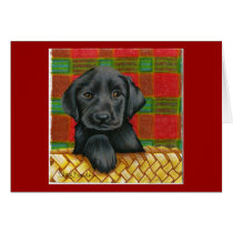 Dog Valentine card cards
