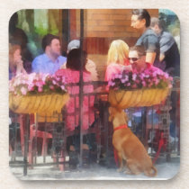 Dog Waiting at Cafe Hoboken NJ cork coasters