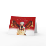 dog walker christmas holiday card with basset houn