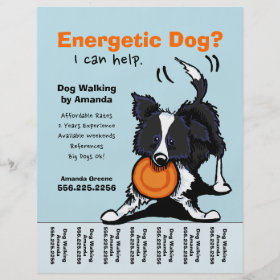 Dog Walker Walking Personalized Tear Sheet Custom Flyer