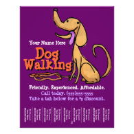 Dog Walking.Advertising Promotional Flyer