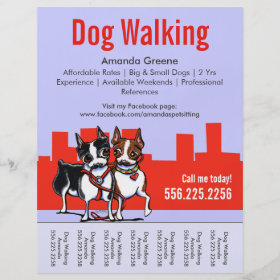 Dog Walking Walker Boston Terriers Tear Sheet Flyer Design