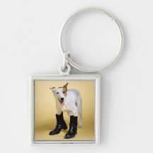 Dog wearing boots key chains