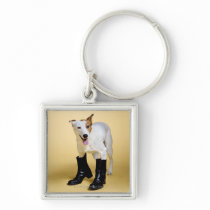 Dog wearing boots key chains