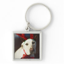 Dog wearing reindeer antlers key chain
