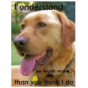 Dog Wisdom t-shirts by devonoday Dog Wisdom t-shirts