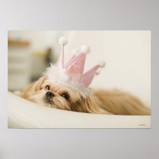 Funny pink pricess Dog with a crown poster print