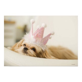 Funny pink pricess Dog with a crown poster print