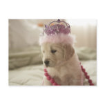 Dog with decorations on bed post card