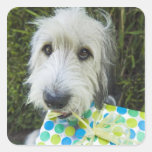 Dog with gift in mouth square stickers