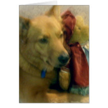Dog with stuffed animal card