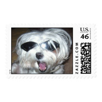 Dog with sunglasses postage by BubblePopElectric Dog with sunglasses postage