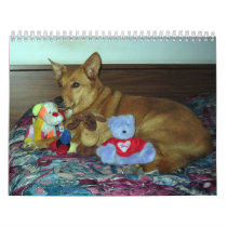 Dog with toys CALENDER Calendar