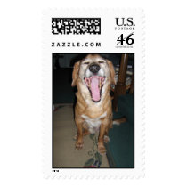 Dog Yawn postage