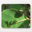 Dogbain Beetle II mousepads by Mike_Montalvo Dogbain Beetle II mousepads