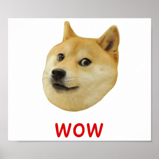 Doge Very Wow Much Dog Such Shiba Shibe Inu Poster | Zazzle