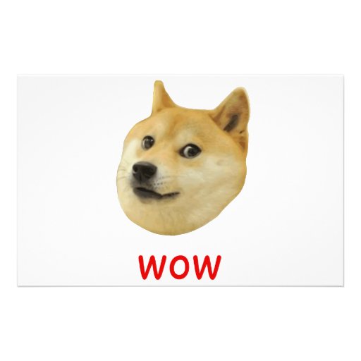 Doge Very Wow Much Dog Such Shiba Shibe Inu Tank Top   Tank Tops Gift