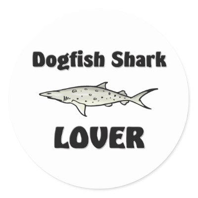 Dogfish+shark+skeleton