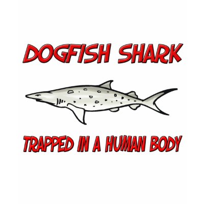 Dogfish+shark