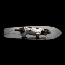 Dogg - Ray Potes skateboards by raypotes Dogg - Ray Potes skateboards