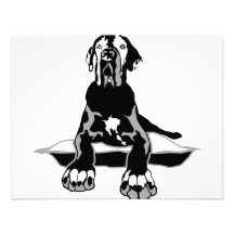 Dogge Ilios Comunicados