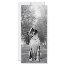 Doggen Geschenke Custom Rack Card