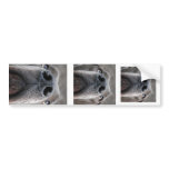 Doggennase bumper stickers