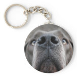 Doggennase Key Chain