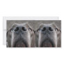 Doggennase Picture Card