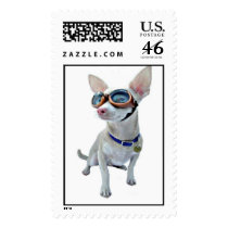 dogggy stamps