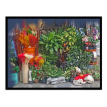 Doggie at the Market Postcards