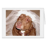 Doggie Bride Card