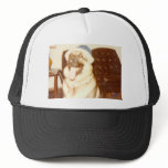 Doggie_Cap Hats