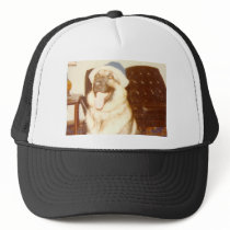 Doggie_Cap Hats
