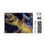 doggie daze postage